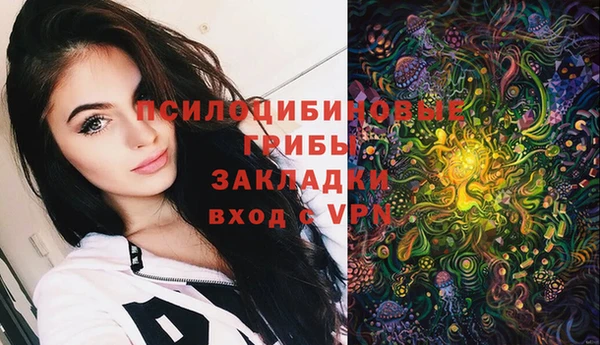 винт Белокуриха