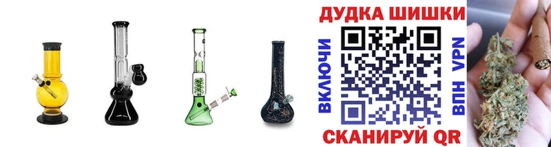 Бошки марихуана семена  Кузнецк 